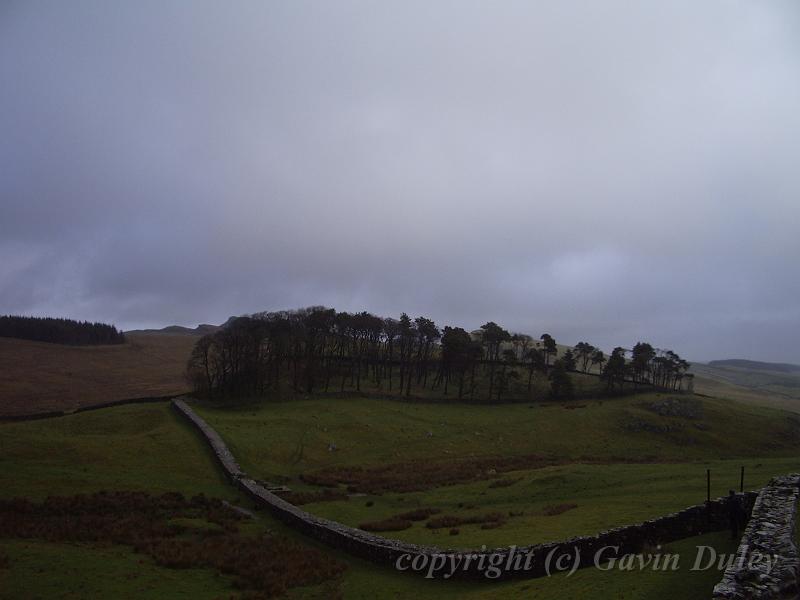 Housesteads Roman Fort IMGP6501.JPG